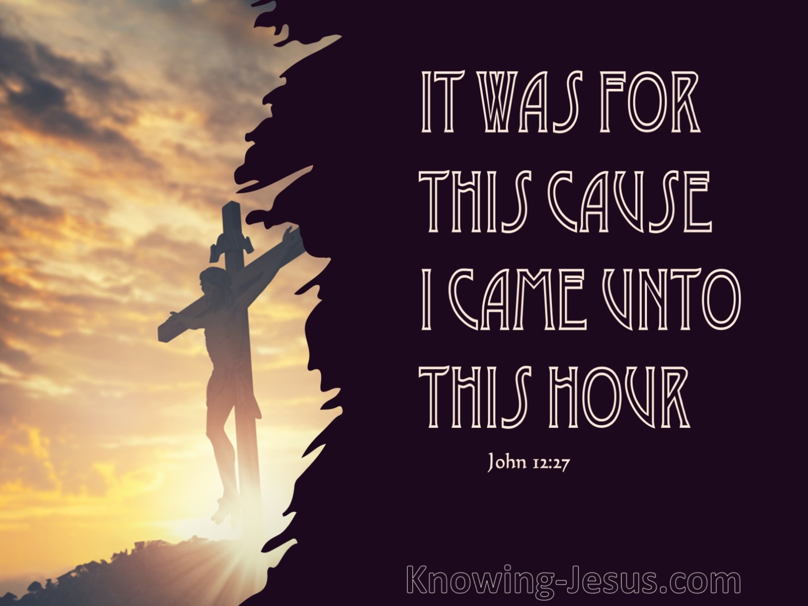 John 12:27 It Was For This Cause I Came Unto This Hour (brown)